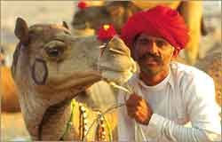 Incredible India