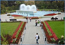Zoological and Botanical Gardens 